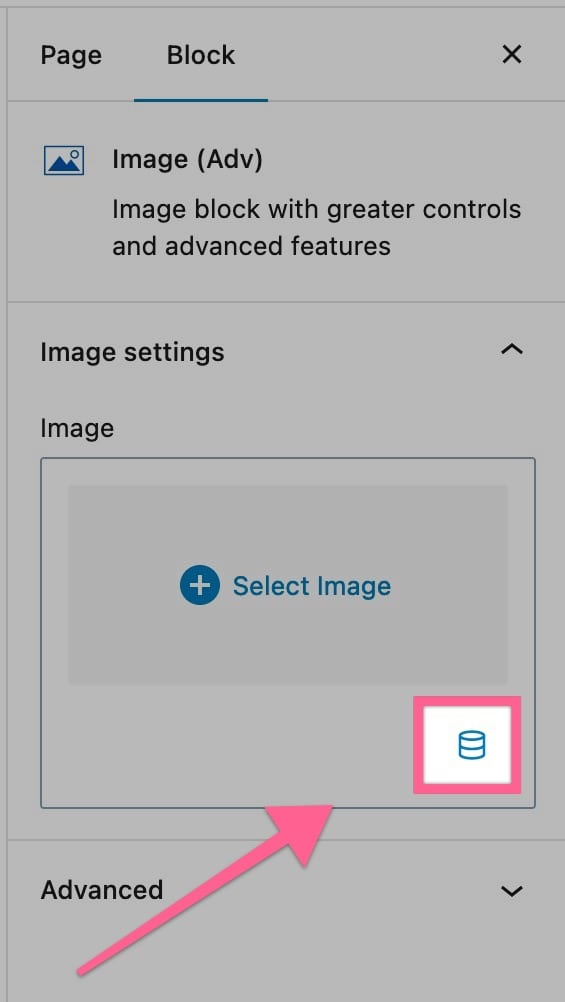 Dynamic Icon Block Setting