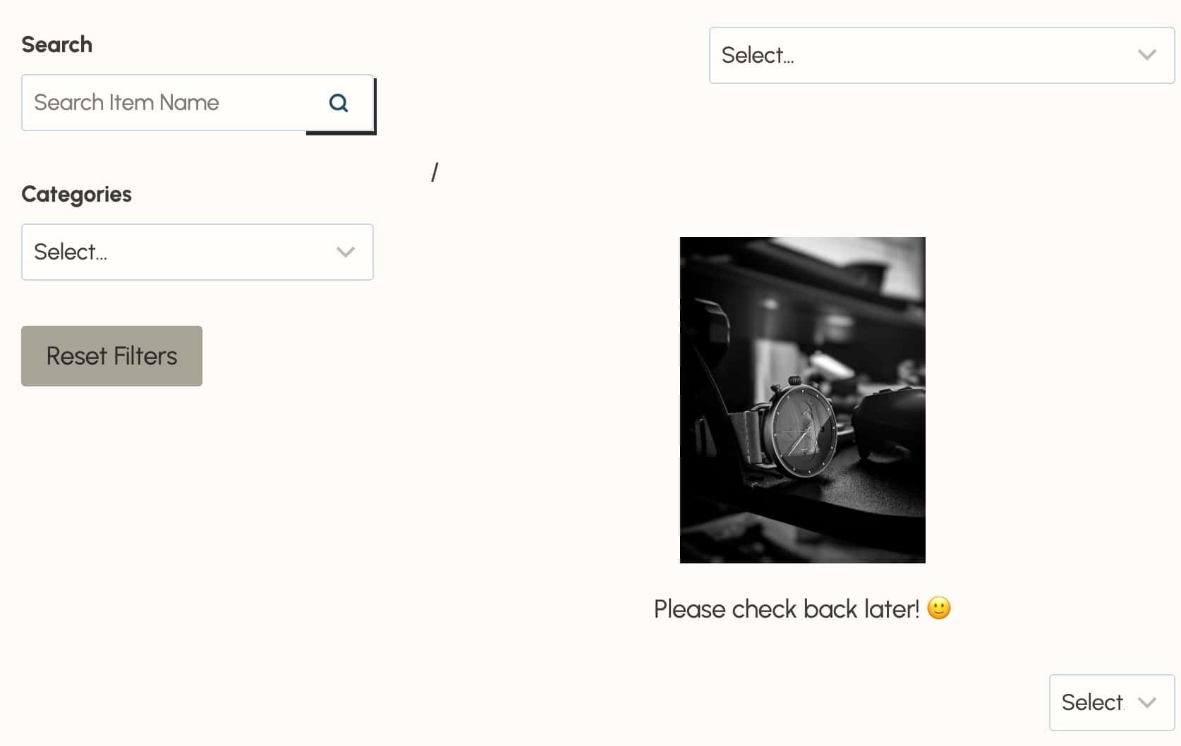 Front End no Results view