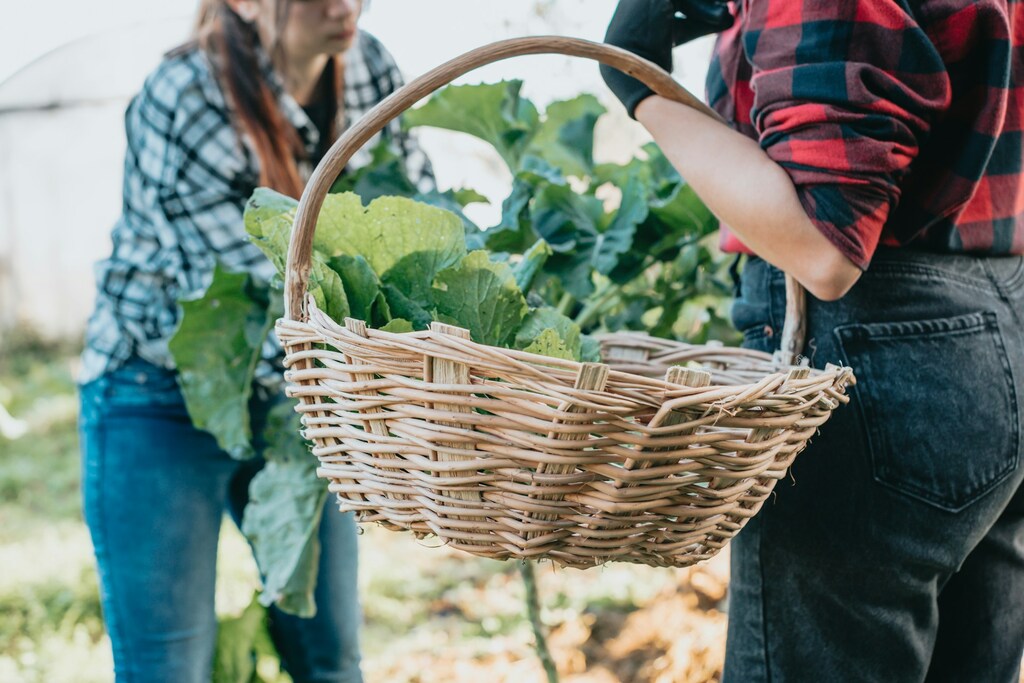 Fresh lettuce sits in a basket held by a woman in a flannel shirt as she chats with another farmer