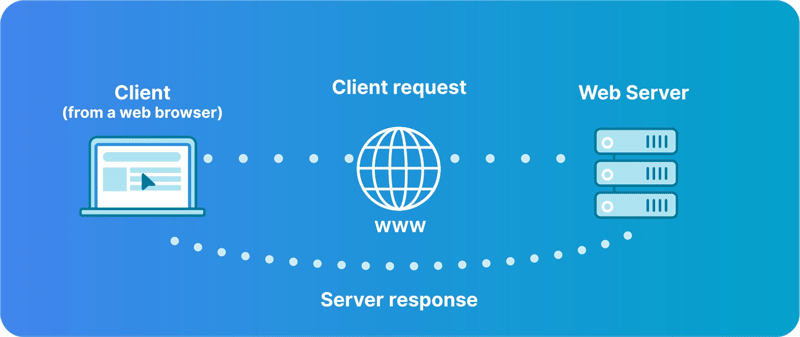 What is a Host Server Vs Web Server