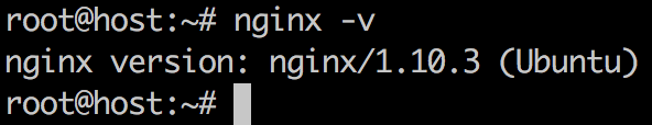 Running the command nginx -v allows you to see which NGINX version you are currently using.