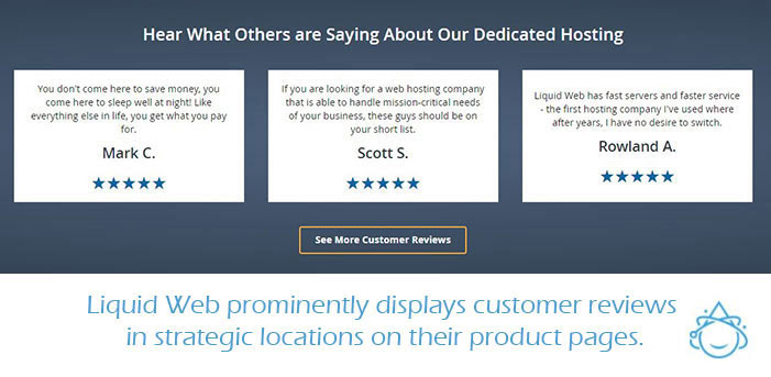 dedicated customer reviews on liquid web