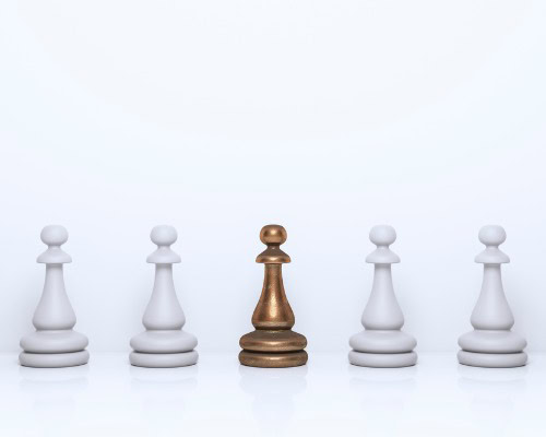 elevates-your-business's-standing