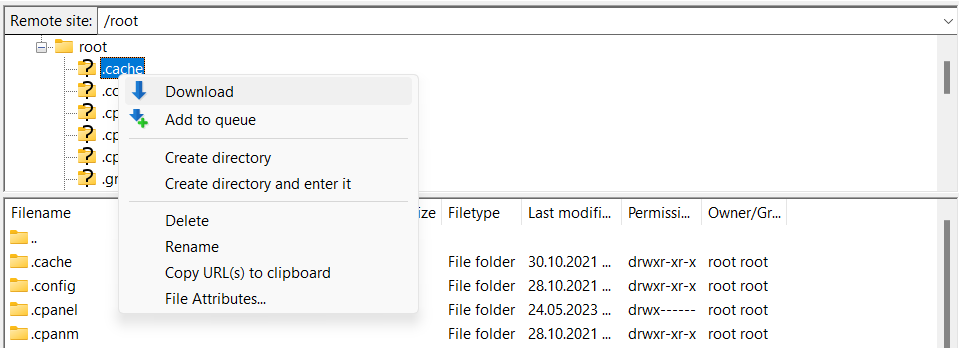 And it will be the same as your computer, with similar commands. Right-click on the folder, and you can download, delete, rename, and more.