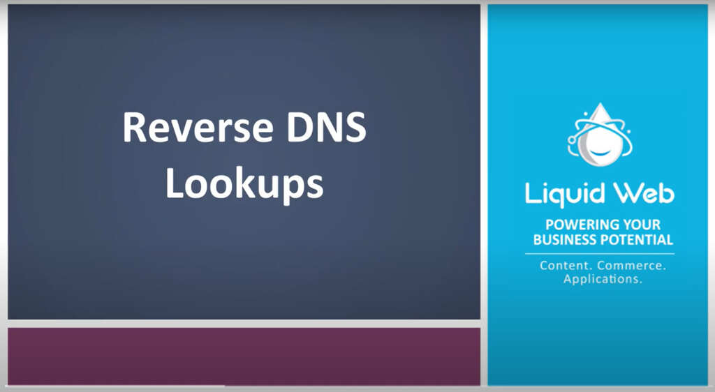 Switch 2024 Dns Lookup Zarla Kathryne