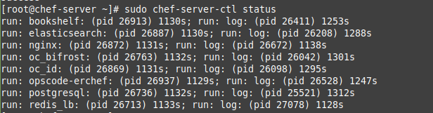 To check the status of components, run the chef-server-ctl command, producing this output.