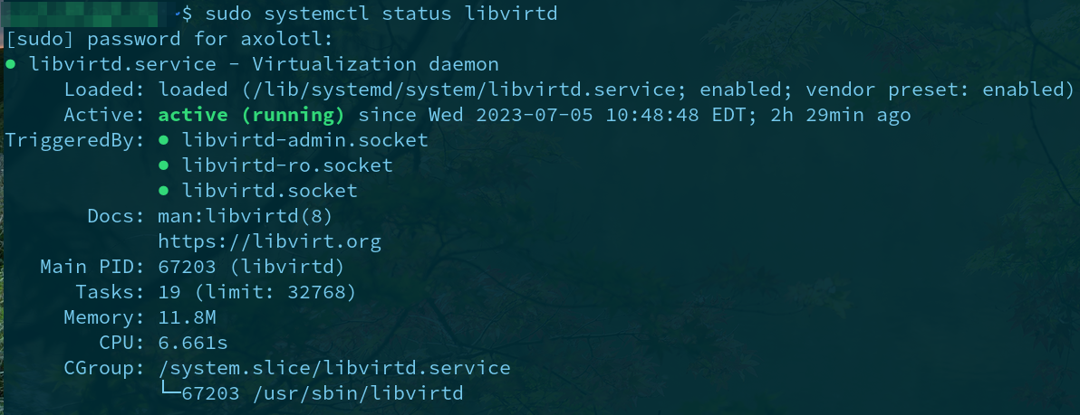 Setting Up a KVM on Ubuntu for Virtualization | Liquid Web