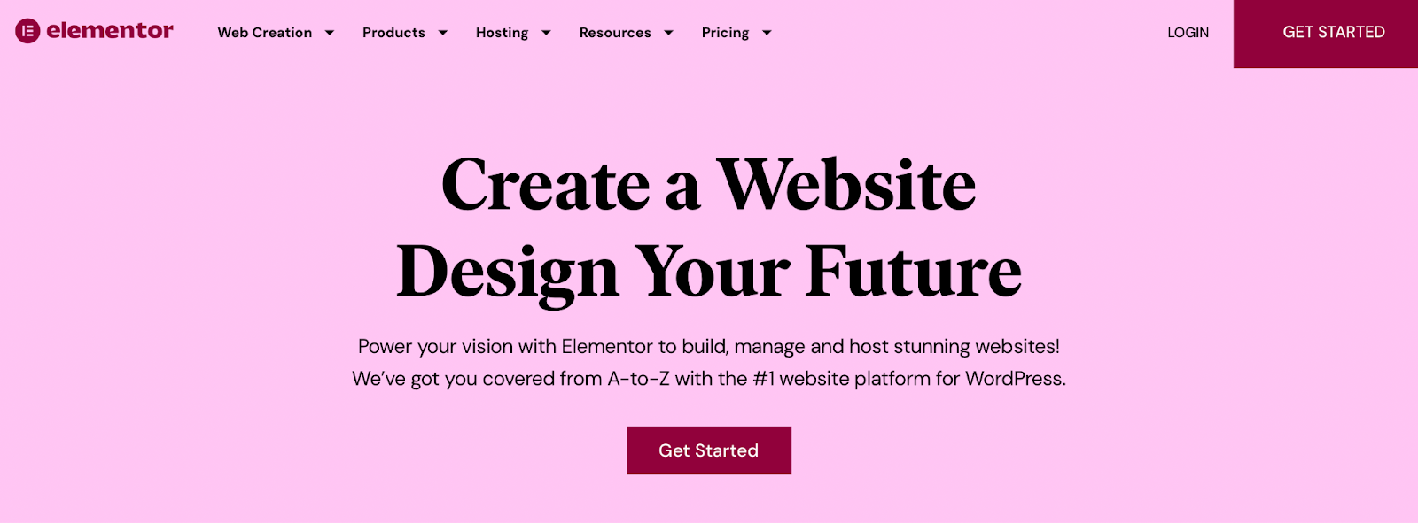 Elementor web development plugin.