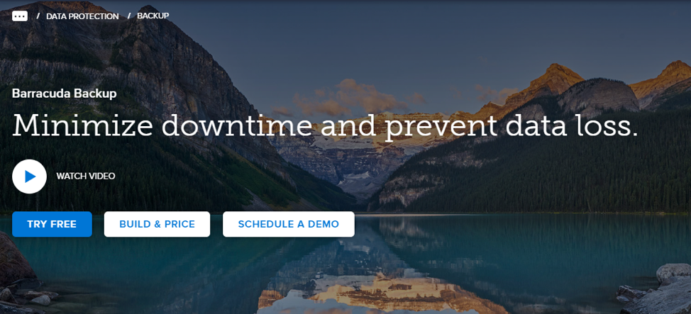 Barracuda Backup promises to minimize downtime.