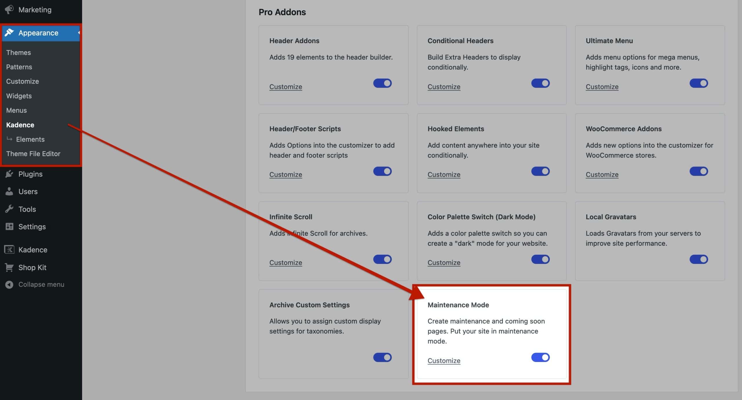 Enable Kadence Maintenance Mode