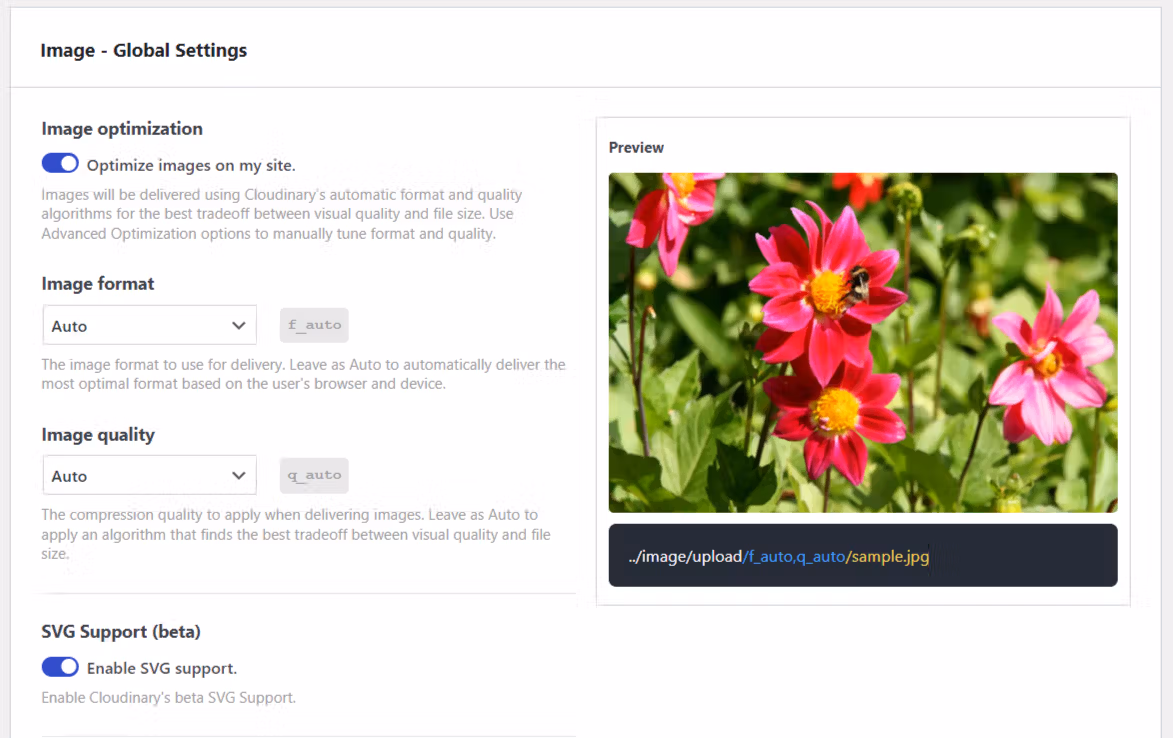 Cloudinary image optimization settings