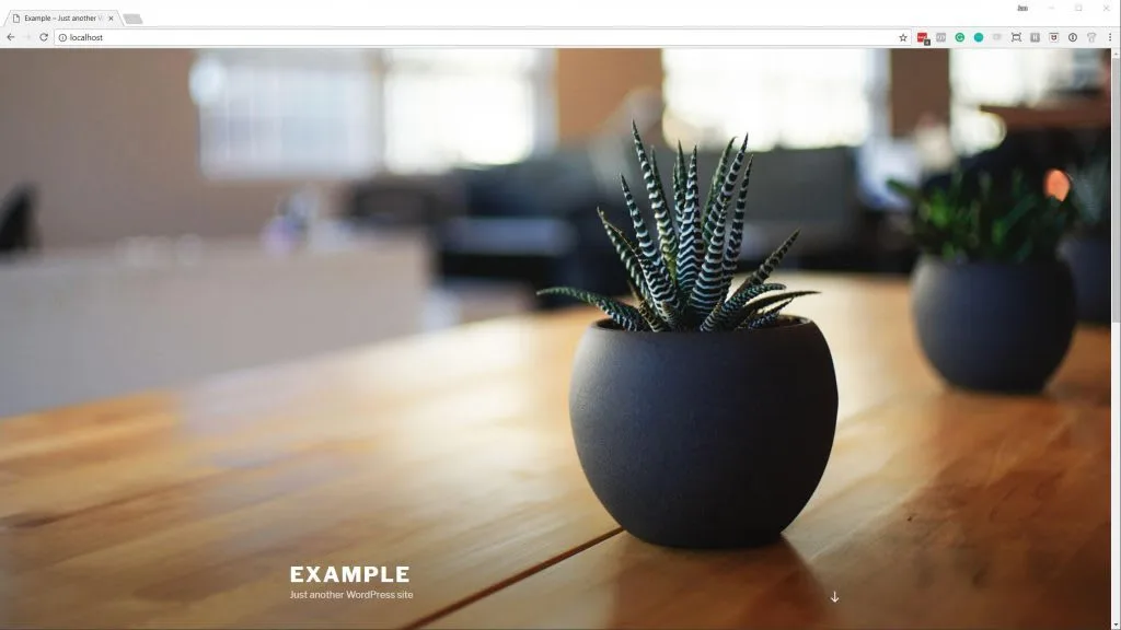 wordpress homepage screenshot