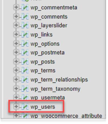wp_users screenshot