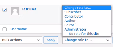 wordpress user role screenshot