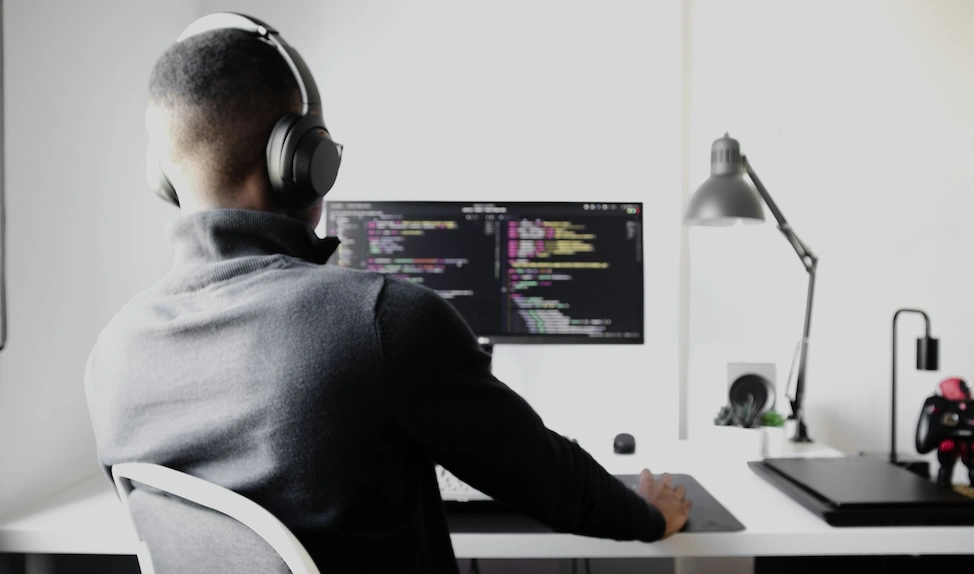 freelance wp developer