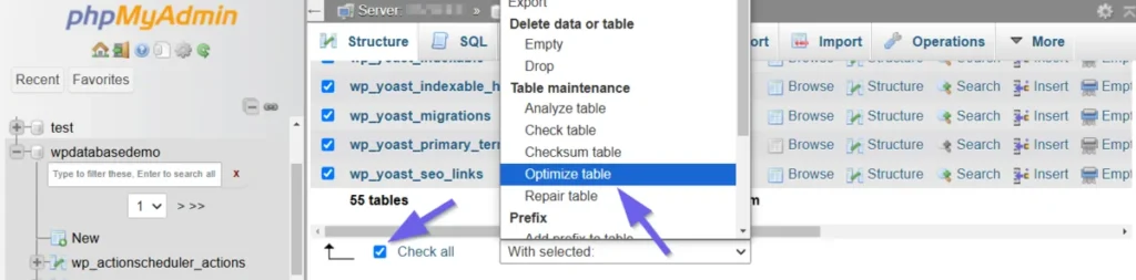 Optimizing all the WordPress database tables in phpMyAdmin.
