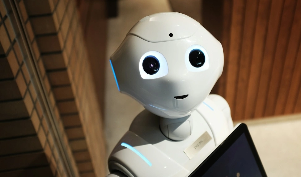 wp marketing automation bot