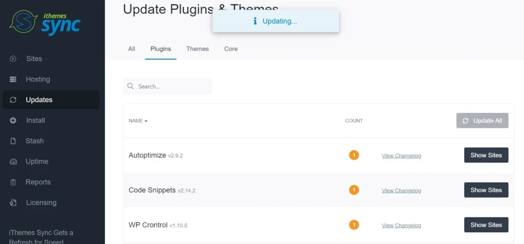 solid central wp plugin updating