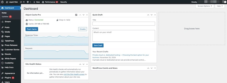 Screenshot showing admin panel used in WordPress development