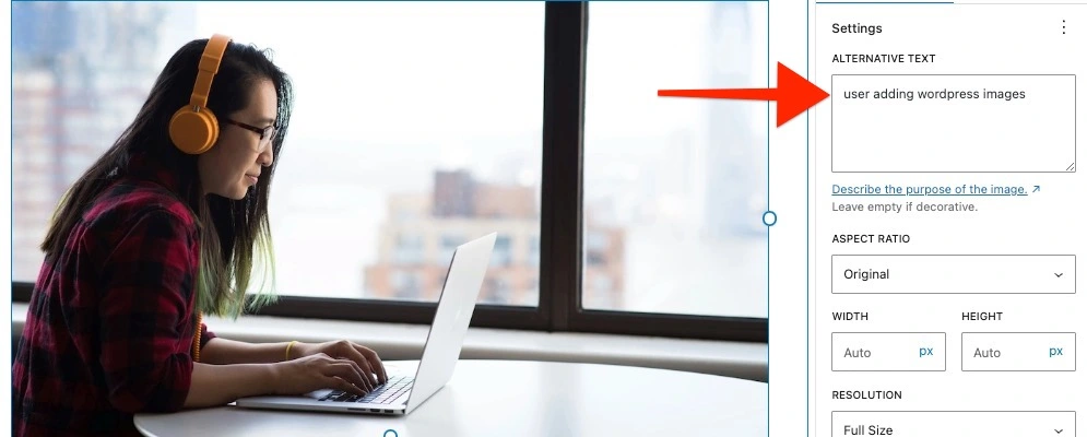wordpress image alt text example