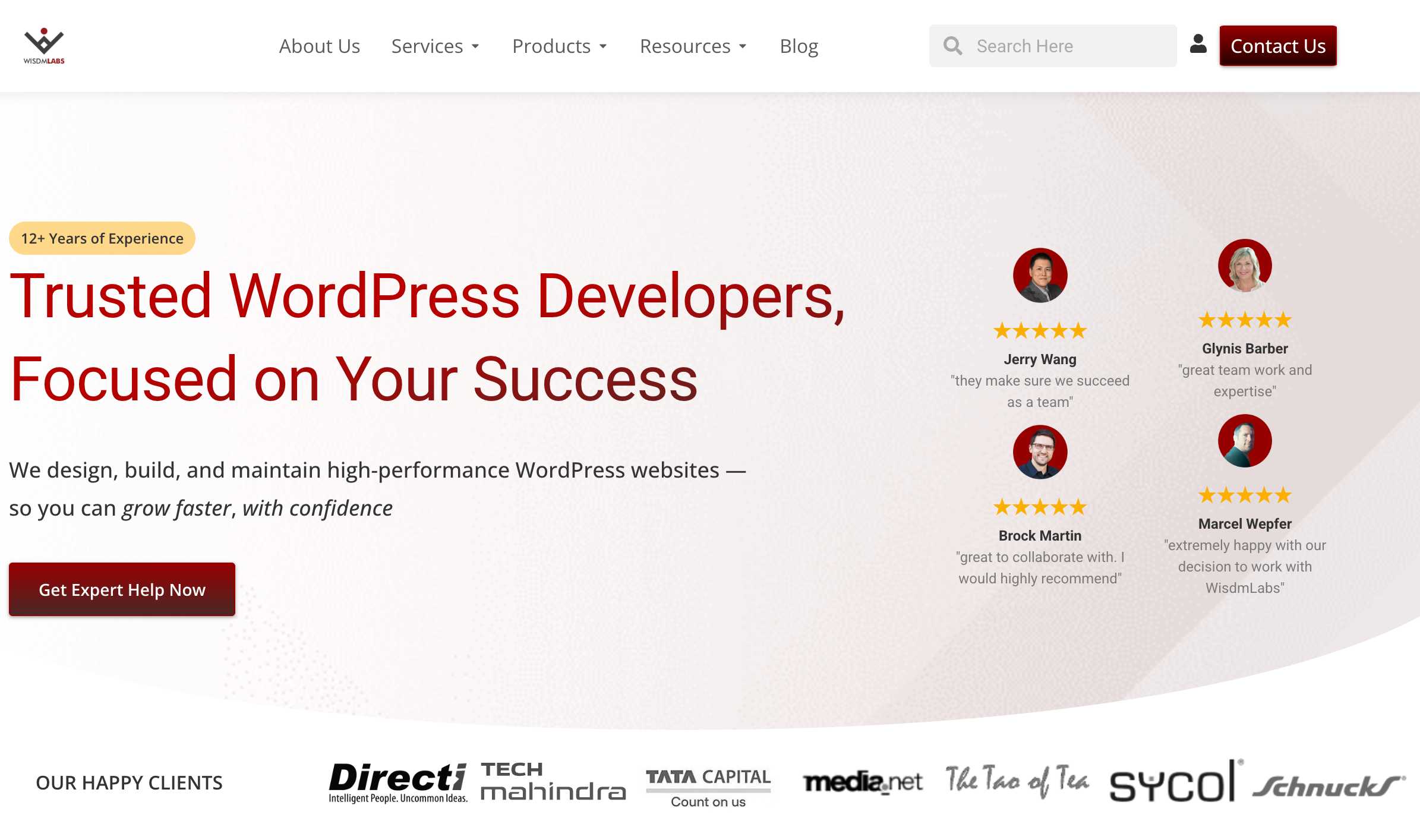 WisdmLabs – Custom WordPress and WooCommerce development solutions