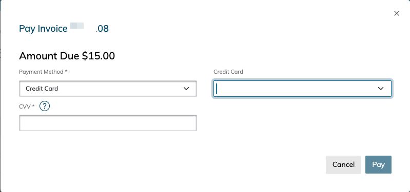 A new window will pop up over your invoice — the Pay Invoice Window.