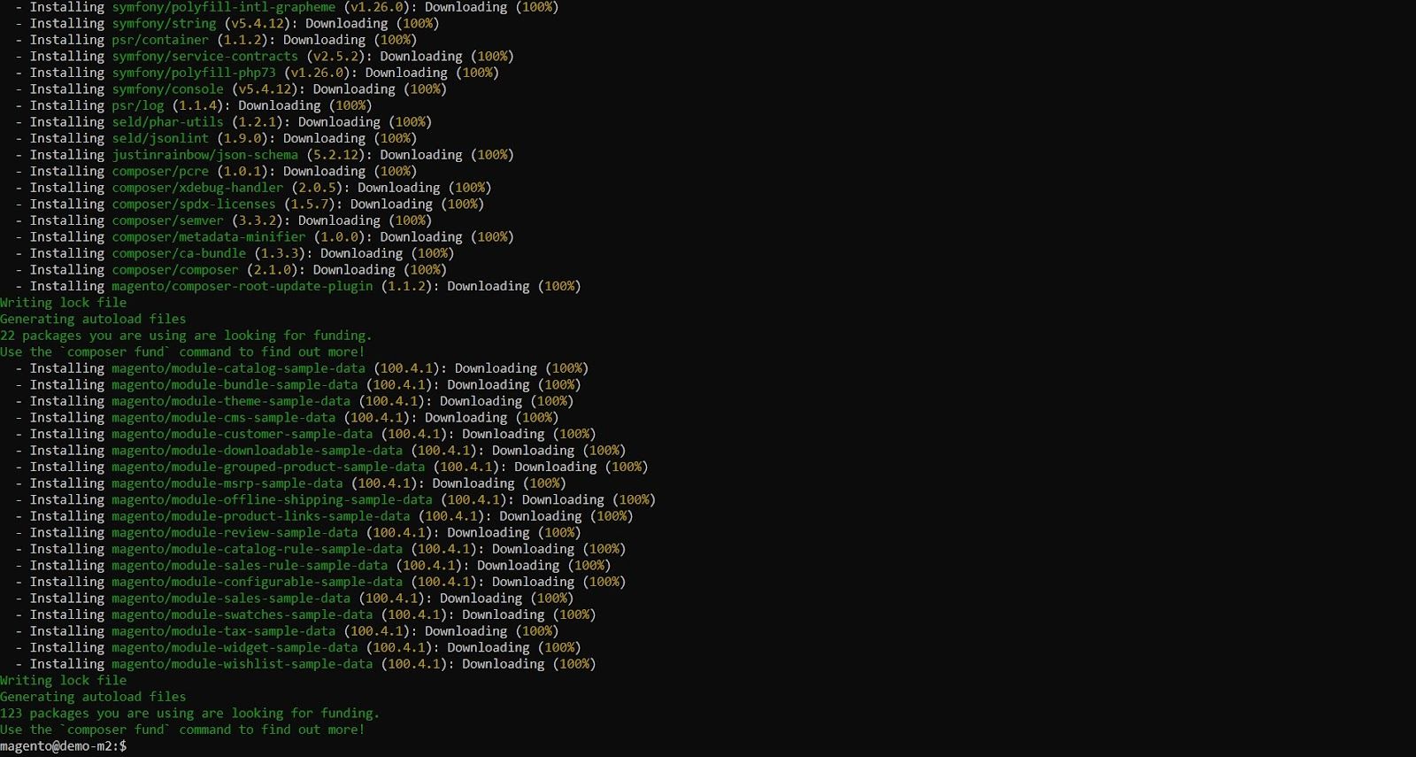 Magento 2 sample data installation.
