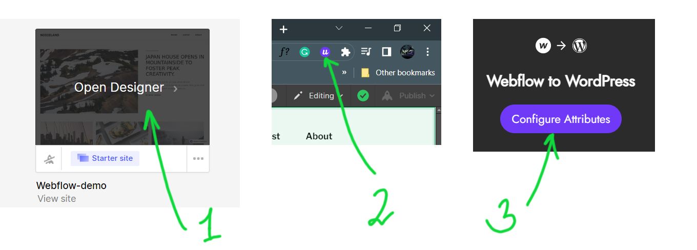 2. Now go to your Webflow site.