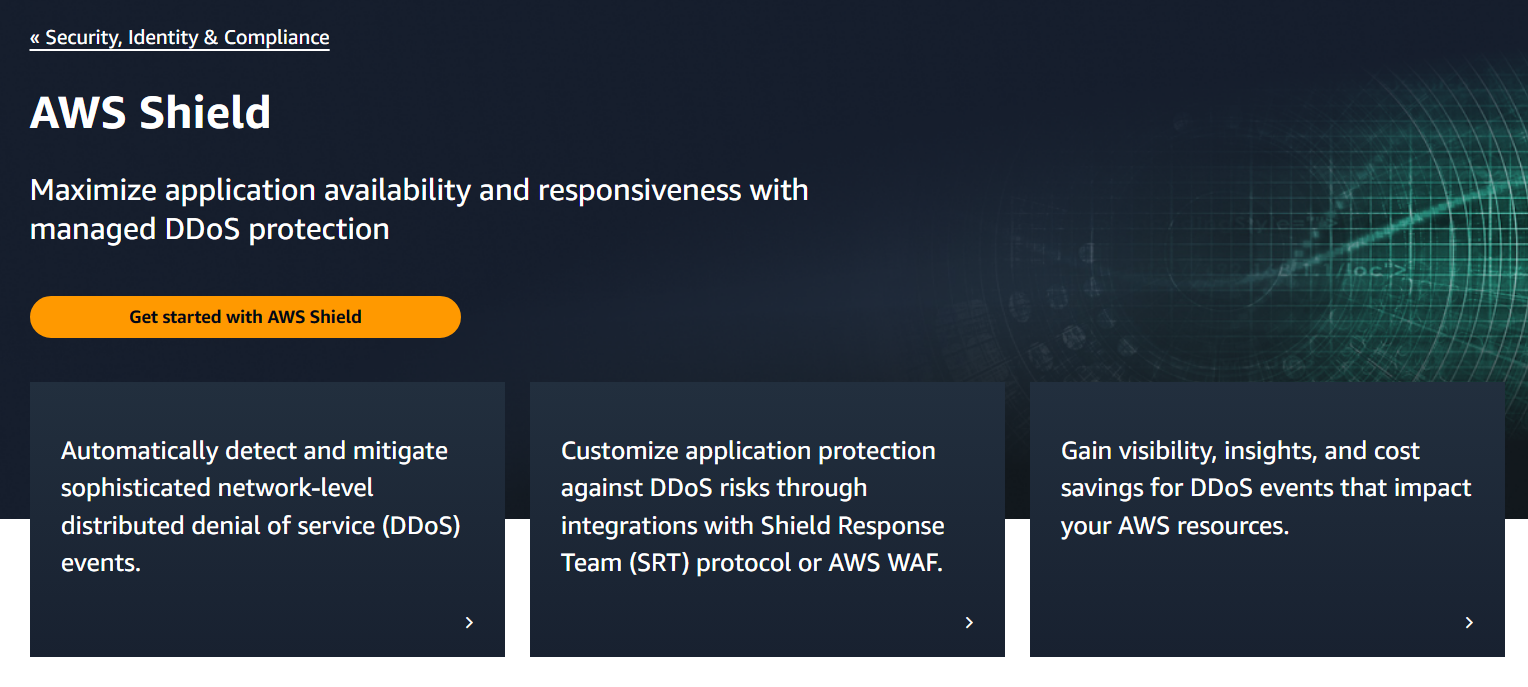 Amazon's AWS Shield -- a premium protection against DDoS.