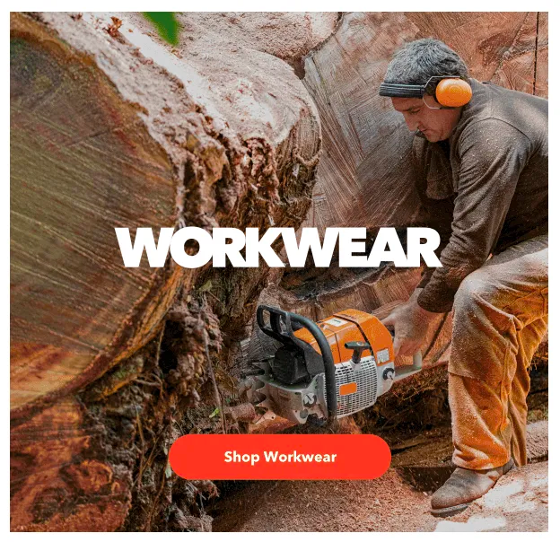 Patagonia marketing email example