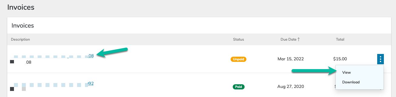 Once on the Invoices page, click on either the invoice name (highlighted in blue and underlined) or on the three dots to the right of the invoice, and then click on View.
