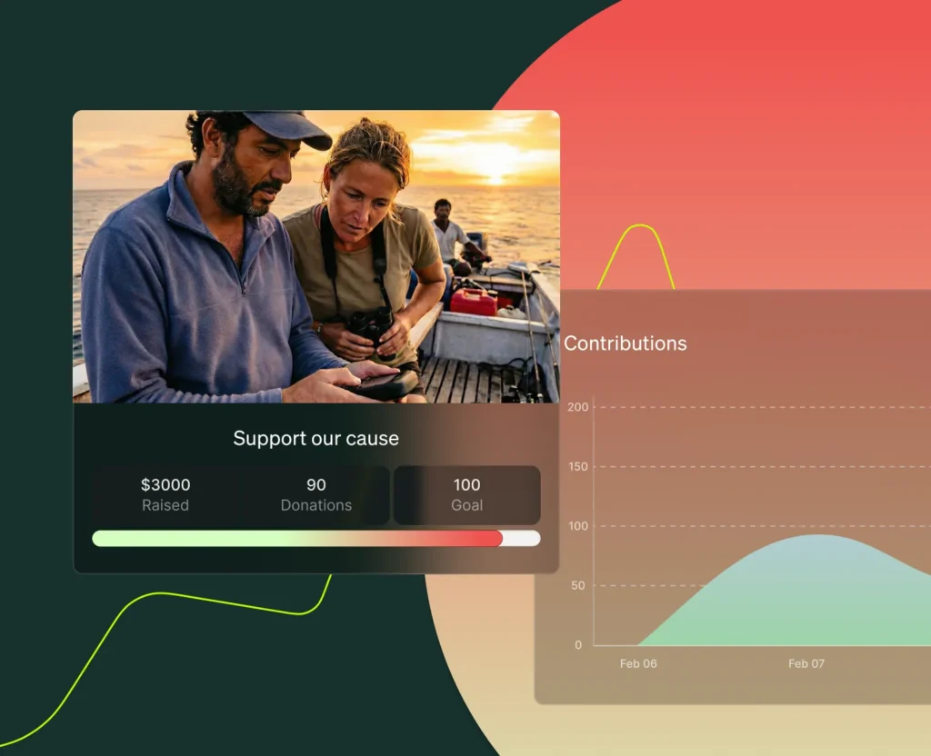 Snapshot of a webpage using a WordPress donation plugin, showing the amount raised, number of donations, and donation goal, a graph shows the frequency of donations over time.