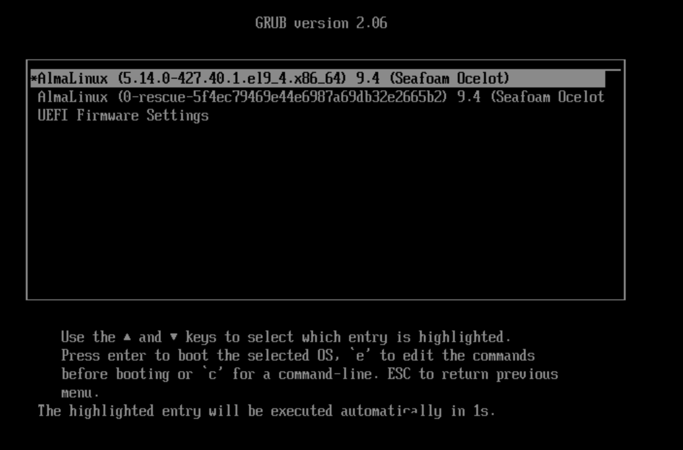 This image is an example of a grub screen on AlmaLinux.
