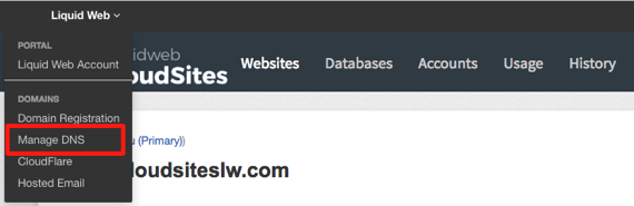 manage dns link highlighted in drop down