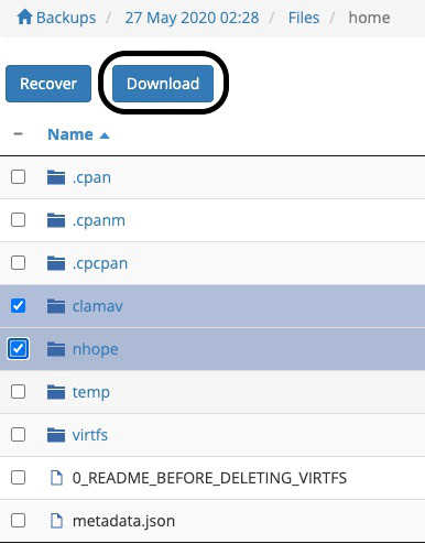 download button highlighted