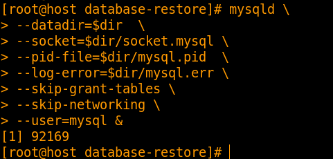 second mysql instance started