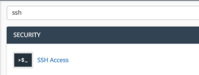 SSH in search bar and link