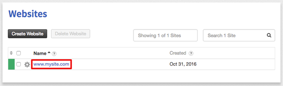 website name highlighted