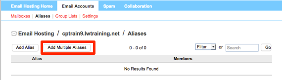 add multiple alias button highlighted