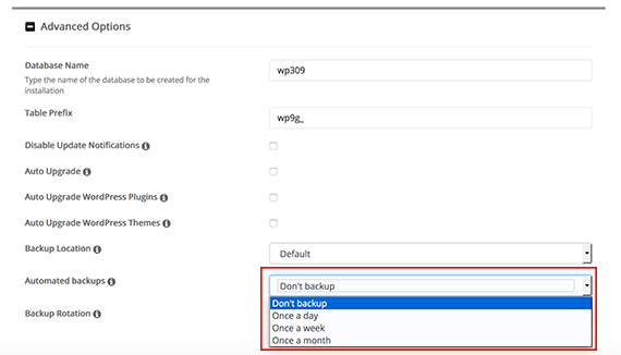 options for backup drop down
