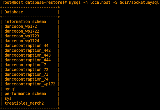 list of databases in new mysql instance