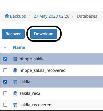 download button highlighted