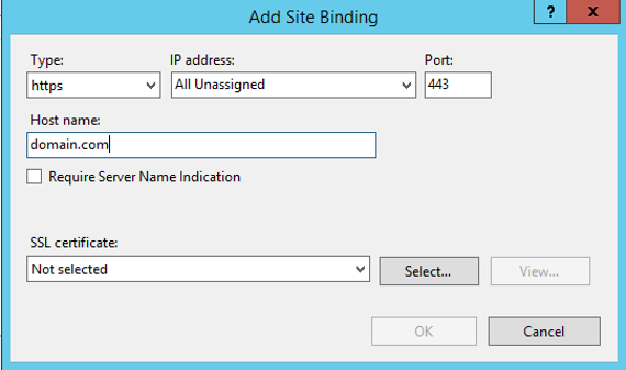IIS DNS Binding