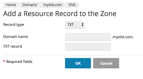 adding info to your DNS record