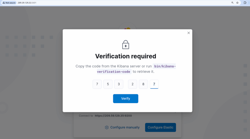 Type in your verification code in the number fields provided and click the Verify button to start the setup process.