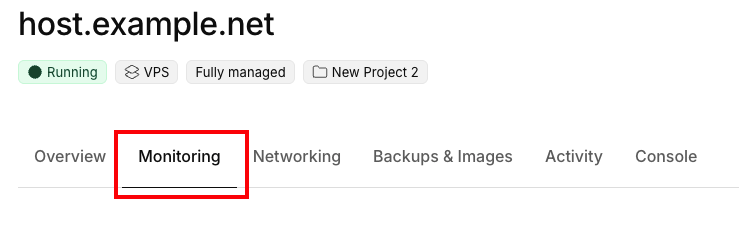 The monitoring tab in the server details navigation bar is highlighted.