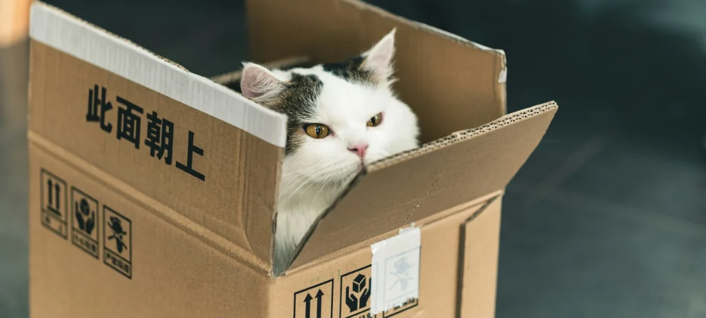 cats like shipstation for woocommerce