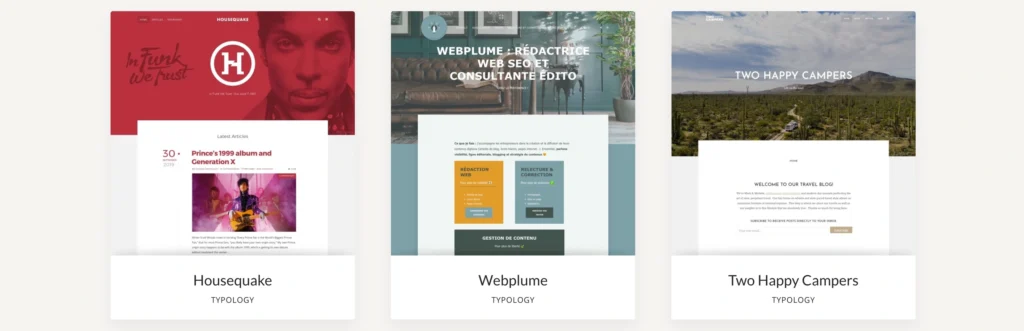 minimalist wordpress theme typology examples