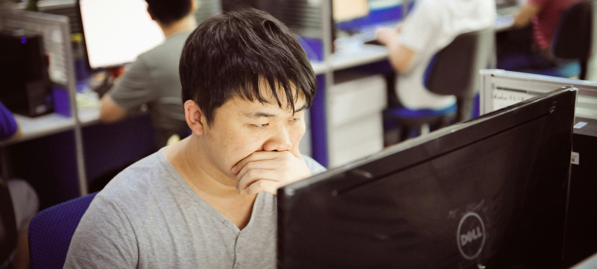 studying wordpress architecture