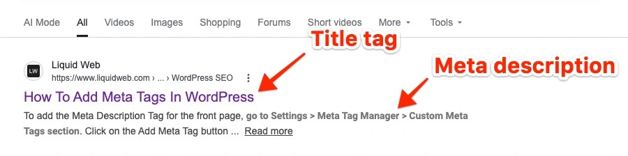 serp snippet with meta tags labeled